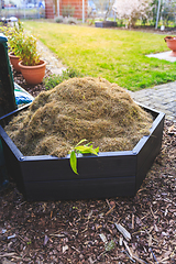 Image showing Gardening - composter with lawn cut and hay