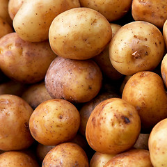Image showing Small potatoes