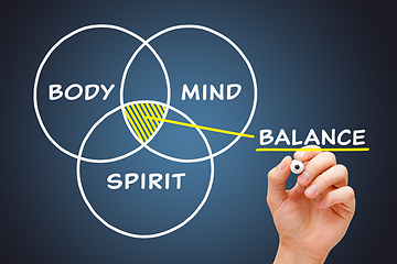 Image showing Conceptual Diagram About Body Mind Spirit Balance