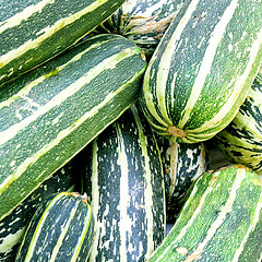 Image showing Zucchini