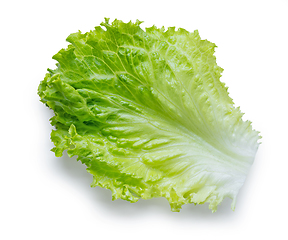 Image showing fresh green lettuce leaf