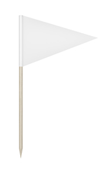 Image showing Blank triangle toothpick flag