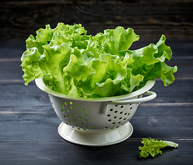 Image showing fresh green lettuce leaves