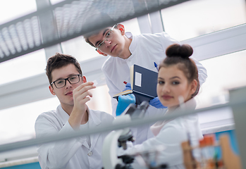 Image showing Group of young medical students doing research