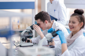 Image showing Group of young medical students doing research