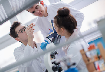 Image showing Group of young medical students doing research