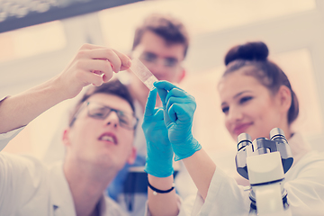 Image showing Group of young medical students doing research