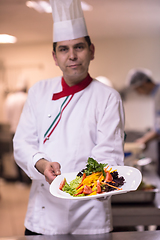 Image showing Chef showing a plate of tasty meal