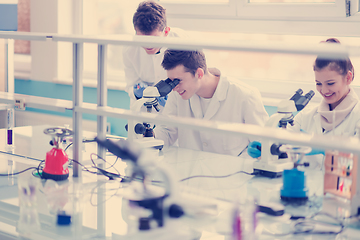 Image showing Group of young medical students doing research