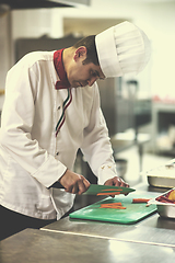 Image showing Chef cutting fresh and delicious vegetables