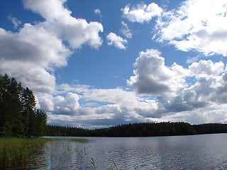 Image showing Forest lake