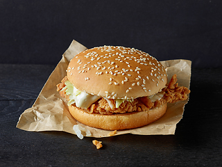 Image showing fresh tasty chicken burger