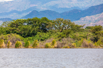 Image showing Lake Chamo landscape, Ethiopia Africa