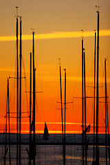 Image showing yachts at sunset