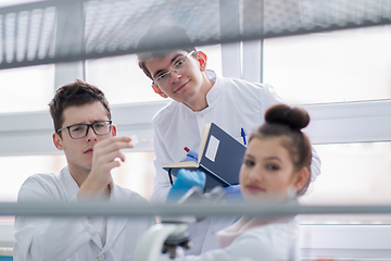 Image showing Group of young medical students doing research