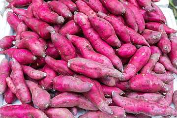 Image showing Pink Sweet Potatoes