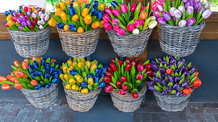 Image showing Ceramic Tulips Baskets