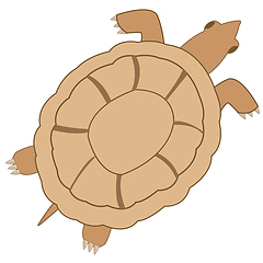 Image showing Vector illustration grovelling animal terrapin type overhand