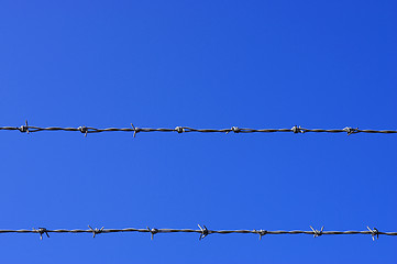 Image showing Barbed wire fence detail