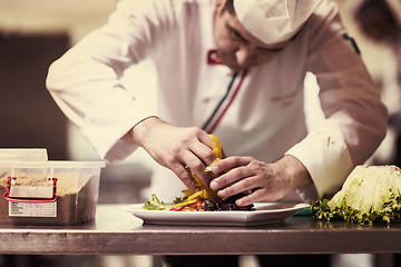 Image showing chef serving vegetable salad