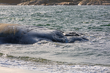 Image showing Stone Coast North