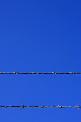 Image showing Barbed wire fence detail