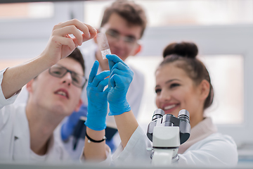 Image showing Group of young medical students doing research