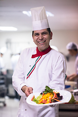 Image showing Chef showing a plate of tasty meal