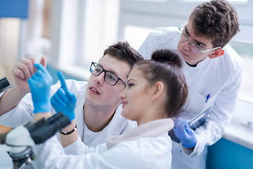 Image showing Group of young medical students doing research