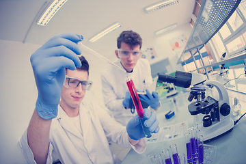 Image showing Group of young medical students doing research