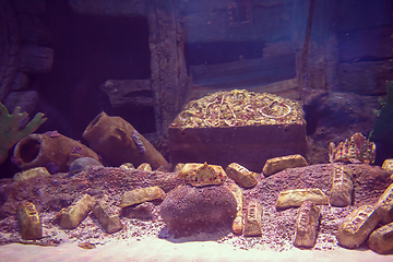 Image showing empty aquarium decor