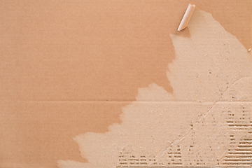 Image showing Torn corrugated cardboard.