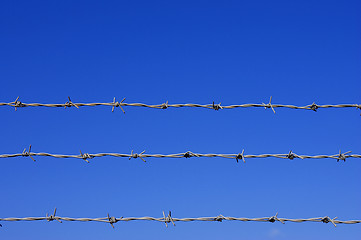 Image showing Barbed wire fence detail