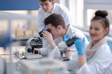 Image showing Group of young medical students doing research