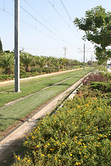 Image showing plants and rail