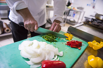 Image showing Chef hands cutting fresh and delicious vegetables