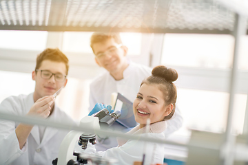 Image showing Group of young medical students doing research