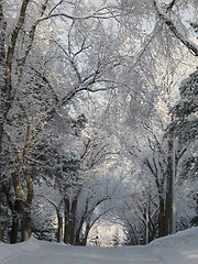 Image showing road covered with snow