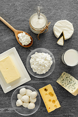 Image showing different kinds of cheese, milk, yogurt and butter