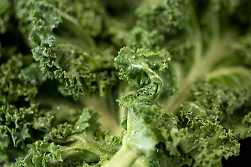 Image showing close up of kale cabbage on table