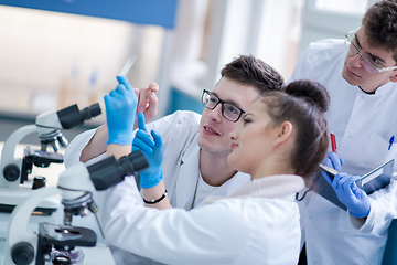 Image showing Group of young medical students doing research