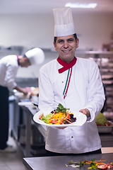 Image showing Chef showing a plate of tasty meal