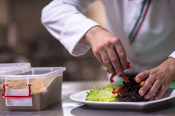 Image showing chef serving vegetable salad