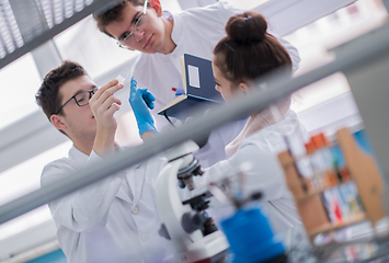 Image showing Group of young medical students doing research