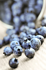 Image showing Blueberries