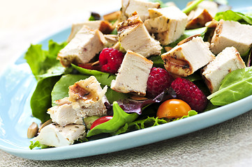 Image showing Green salad with grilled chicken