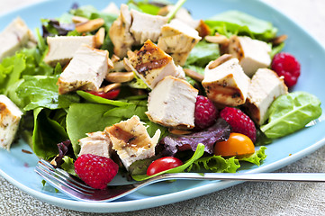 Image showing Green salad with grilled chicken