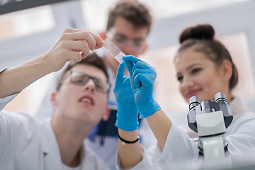 Image showing Group of young medical students doing research