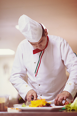 Image showing chef serving vegetable salad