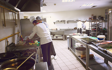 Image showing team cooks and chefs preparing meals